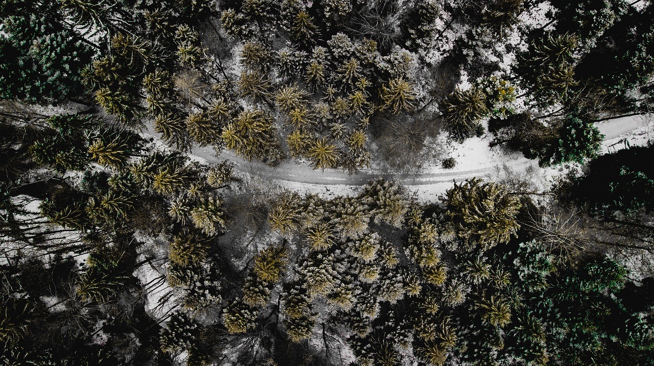 How AI is Enhancing the Performance of Ground Drones